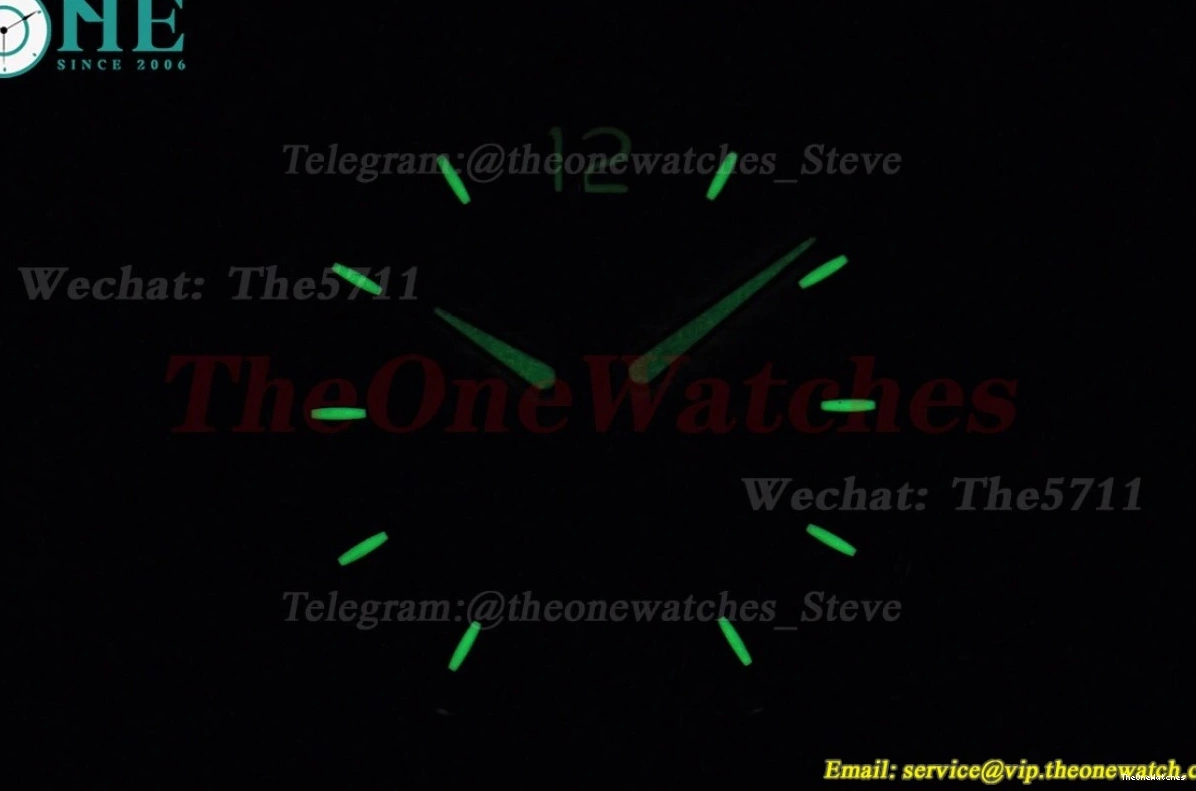 GDF 40mm Dial Nautilus SS  Bule  SS MY8215 0402